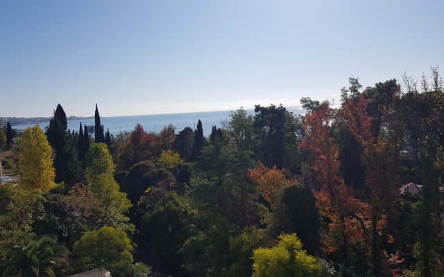 Отель София Rooms