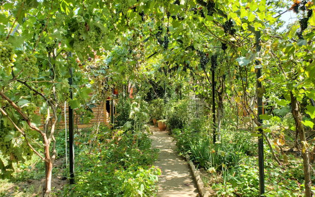 Отель West Tbilisi