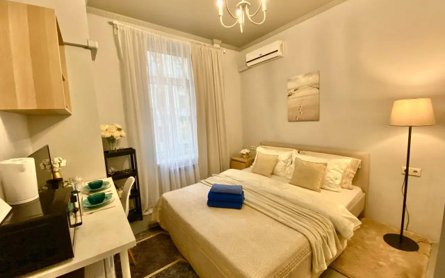 Gold Apart Chaplygina 2-206 Apartments