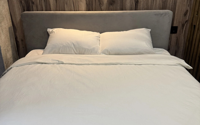 Апартаменты Hotel-style в Центре СПб Резиденция Чеховъ