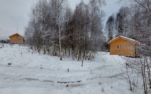 Частный дом Лесной