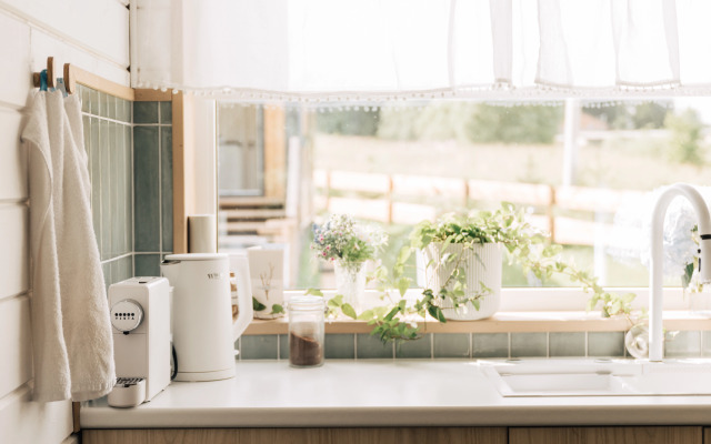 База отдыха Мята