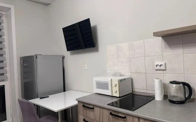 Квартира однокомнатная на проспекте Красный 331/2