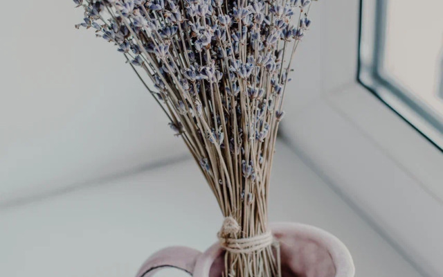 Апартаменты Каштановый парк