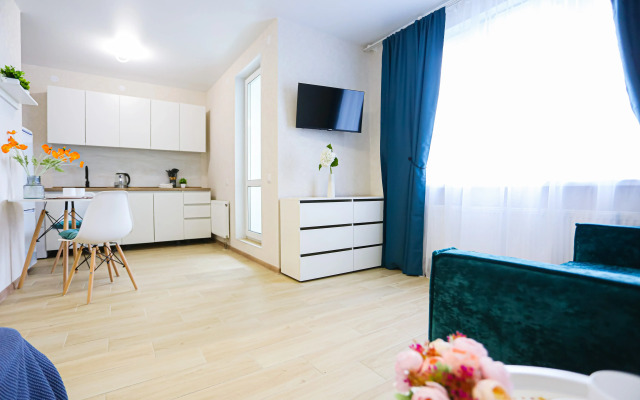 U Petrovny uyutnaya Studiya Flat