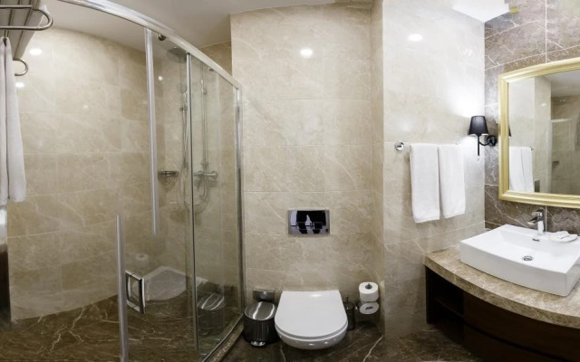Volga Premium Hotel