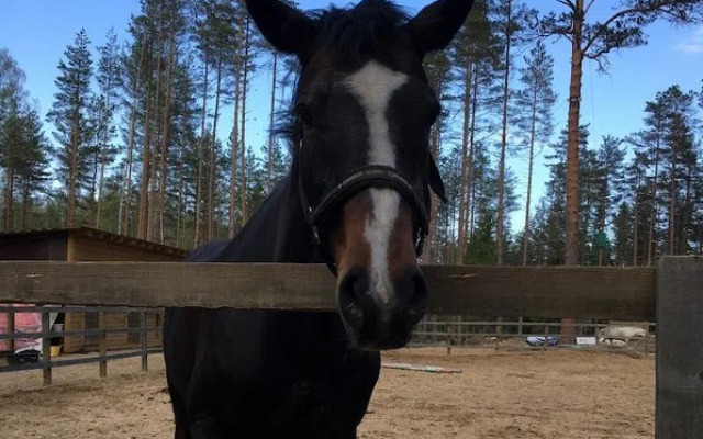 Частный дом Вилла Лаванда с камином у озера