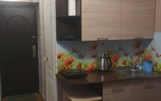 Квартира на Братской 96 (4)