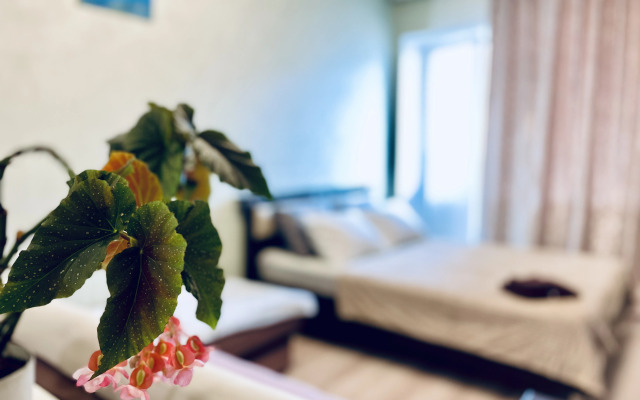 Квартира Уютная студия на Раздольной 1