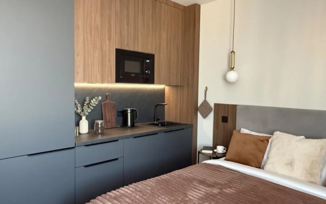 Апартаменты в Премиальном Апарт-отеле VIDI в Центре Санкт-Петербурга