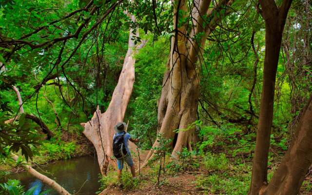 Шале The Hidden Valley