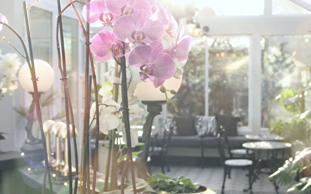 Vinnhaus Boutique hotel