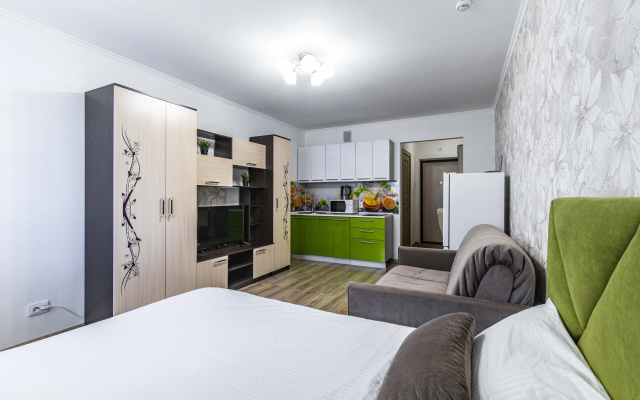Апартаменты Dream House Спутников