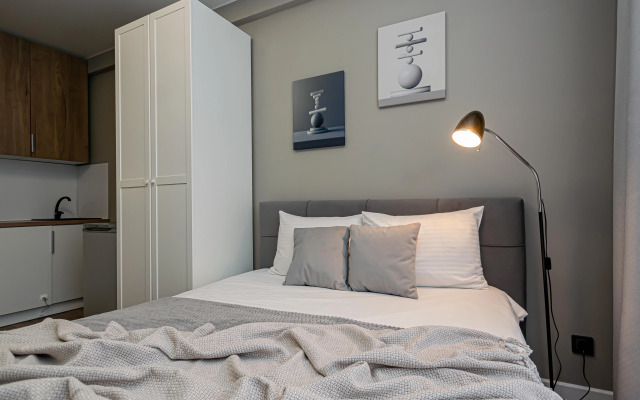 Квартира Уютная строгая студия у Цирка