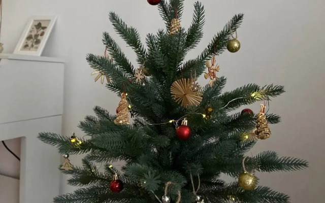 Апартаменты Муза на Проспекте Мира