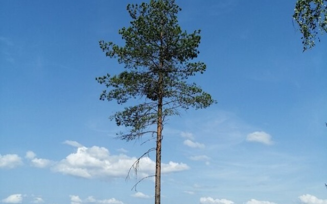 База отдыха  Вселуг