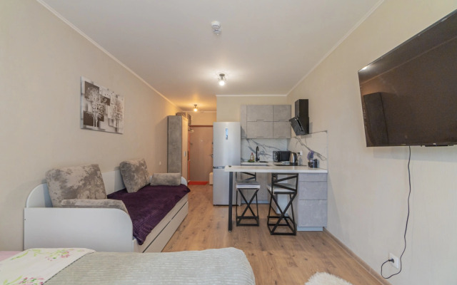 Апартаменты Улучшенные Трехместные SalutApart 8