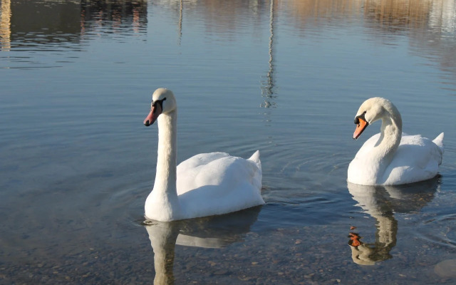 Квартира на Улице Рябиновой 2Бк2