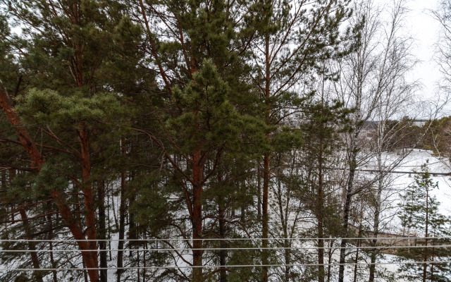 Variant Yemelyyanovo Flat