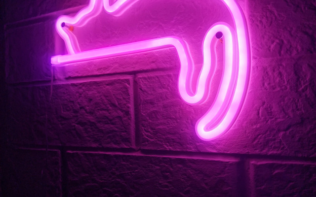 Квартира Студия Business Апарт Комфорт на Конгрессной у Экспоград Юг