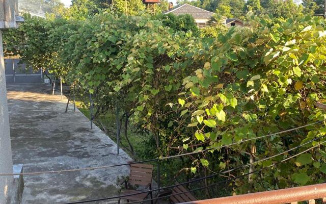 Dom u voln Private house