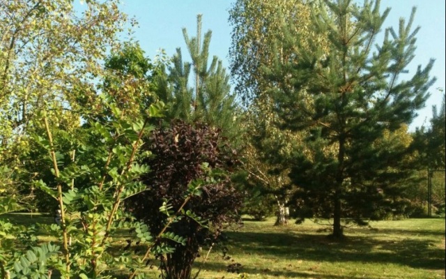 Гостевой дом Эколофт