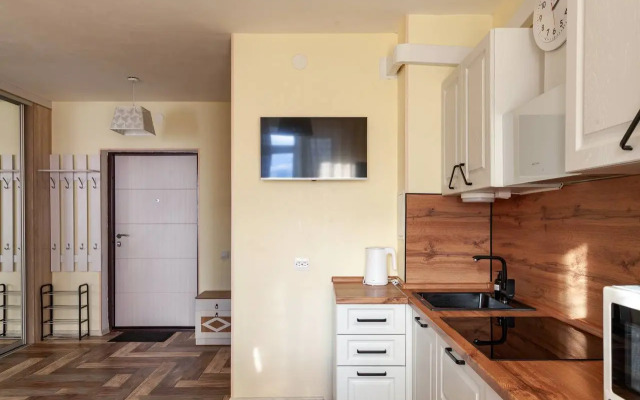 Квартира на Дудинской