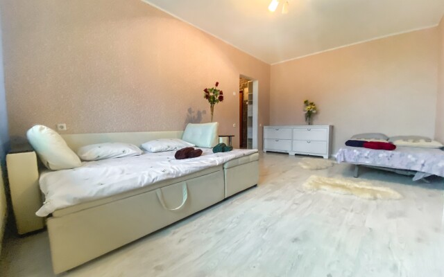 Uyutnaya Kvartira Vozle Sheremetyevo Apartments