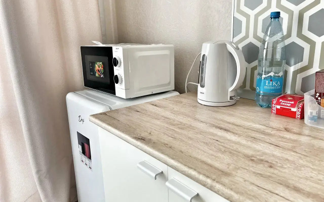 Квартира Елена Озерки