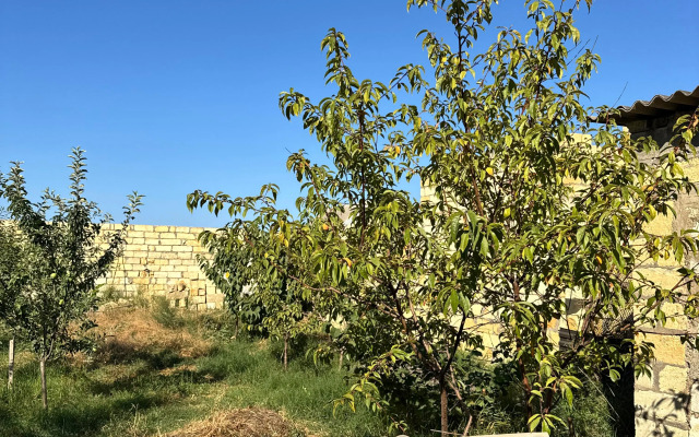 Частный дом у моря с хорошим пляжем