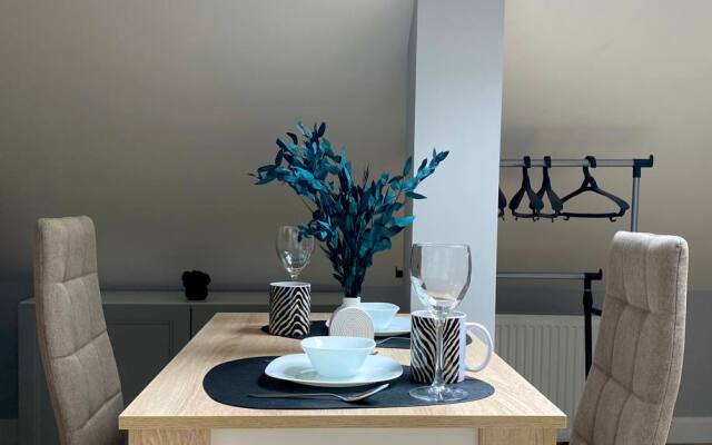 Апартаменты мансарда на Тульской