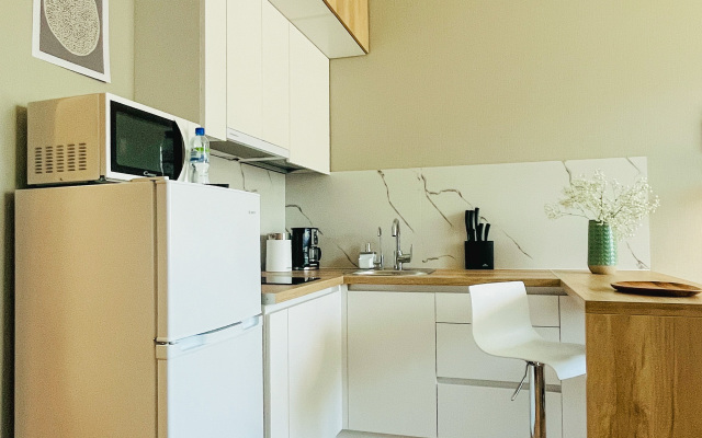 Uyutnaya Studiya V Pesochnom Flat