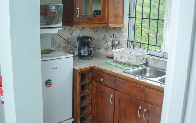Mountain view St Lucia Apartments