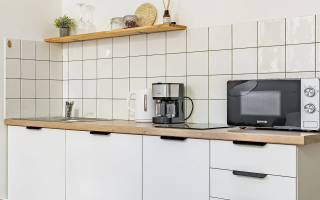 Studiya vo Fligele Starinnogo Doma Flat