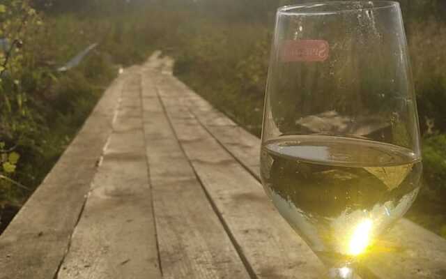 Loza Resort Glamping