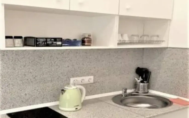 Апартаменты Двухъярусная Студия на Большой Пушкарской 60  №7