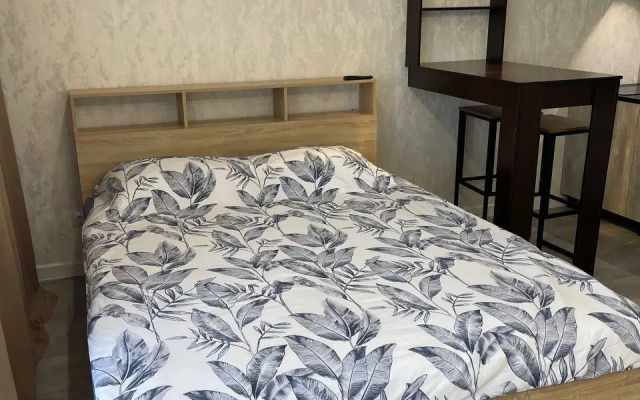 Studiya s Shikarnym Vidom Apartments