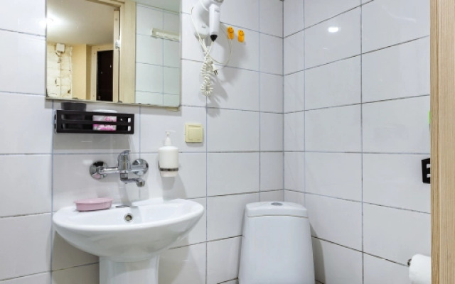 Апартаменты Roomstay Большой стандарт