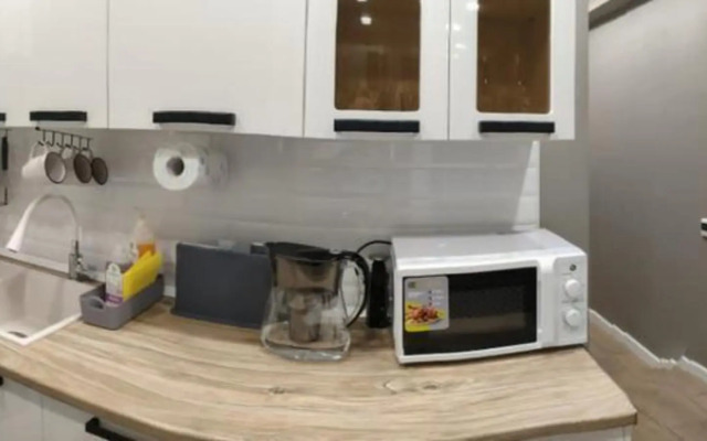 Квартира в 20 минутах от горнолыжного курорта