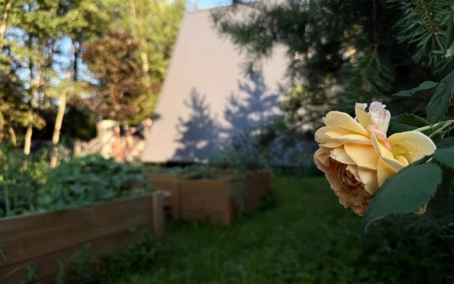 Частный дом с баней в лесу на берегу Истринского водохранилища