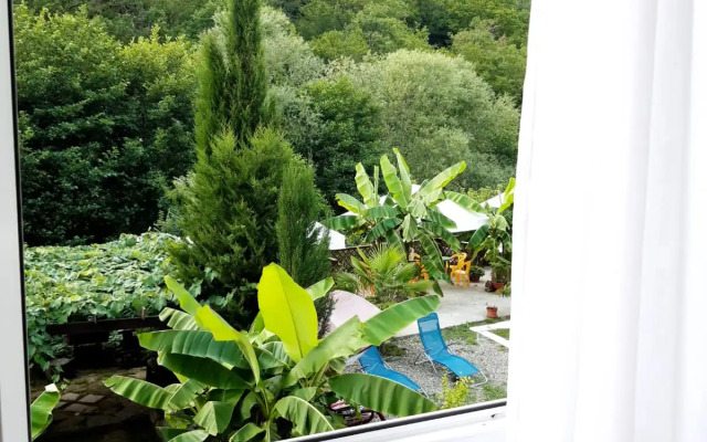 Svirskaya Tishina Guest House