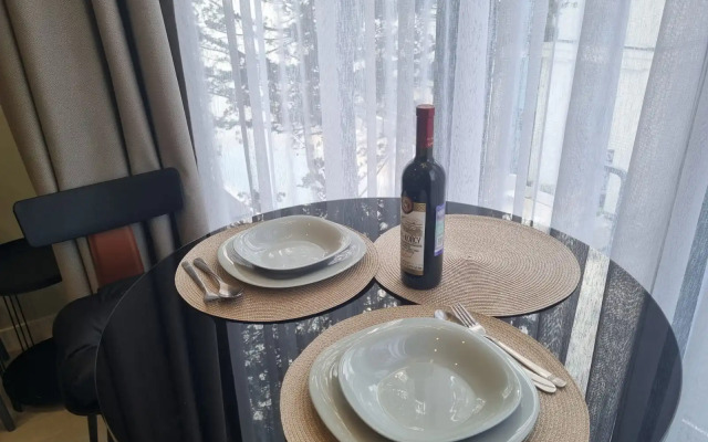Uyutnaya Studiya s Pryamym Vidom na More Apartments