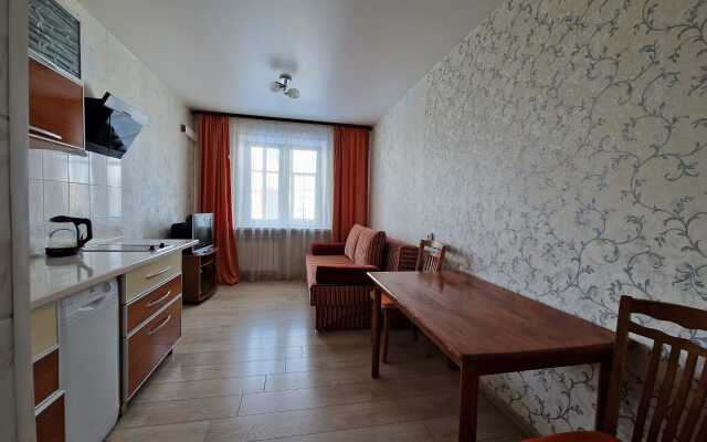 Квартира на Елизаровых 48/9