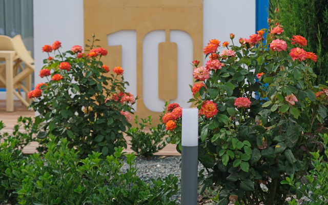 Santorini Hotel