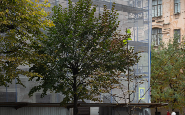 Dlya Gurmanov Flat