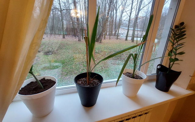 Квартира Обсидиан