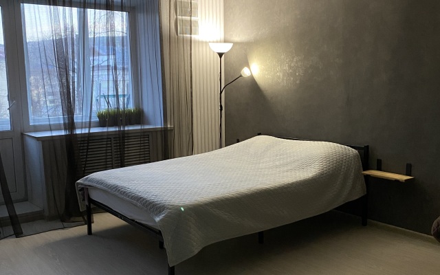 Uyutnaya Studiya Na Kommunisticheskom Prospekte Apartments