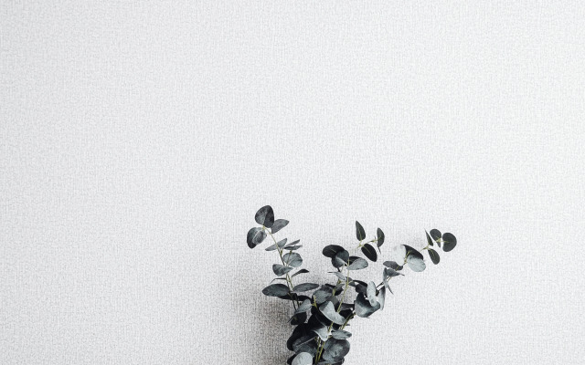 Квартира Деловая лиса