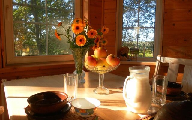 Na gore Levitana Guest House