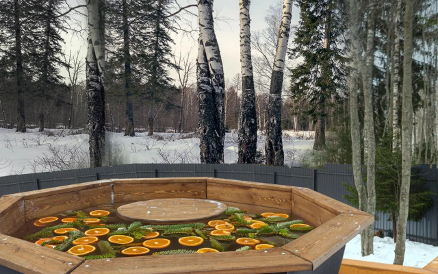 Гостевой дом Шишкин Плэйс